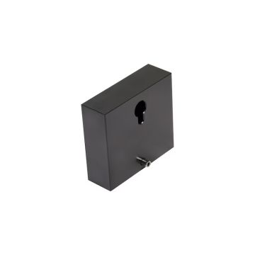 Leister Additional Weight-107.067 2.9kg