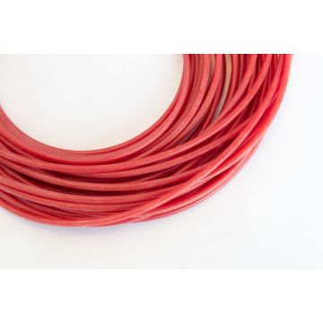 Red Silicone Tubing 2